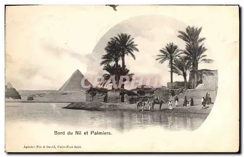 Cartes postales Egypt Egypte Bord du Nil et palmiers