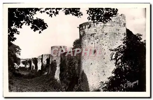 Cartes postales Chateau Provins Ville haute La tour aux engins Les remparts