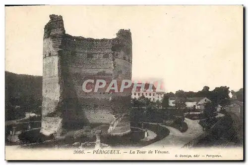 Cartes postales Chateau Perigueux La Tour de Vesone