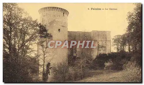 Cartes postales Chateau Falaise