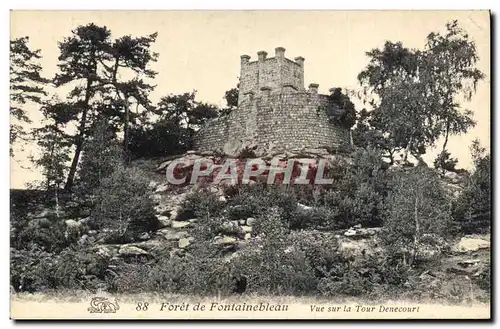 Cartes postales Chateau Foret de Fontainebleau Vue sur la Tour Denecourt