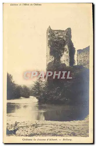 Cartes postales Chateau de Jeanne d'Albret Bellocq