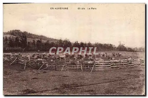 Cartes postales Folklore Auvergne Le parc Vaches