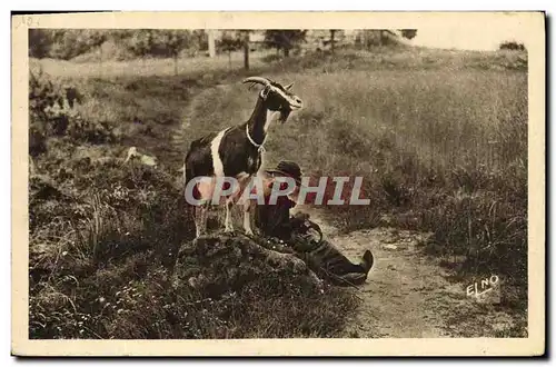 Cartes postales Folklore Chevre gardant sa chevriere