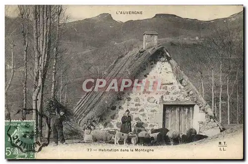 Ansichtskarte AK Folklore Habitation dans la montagne Moutons Auvergne