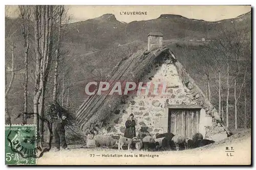 Cartes postales Folklore Habitation dans la montagne Moutons Auvergne