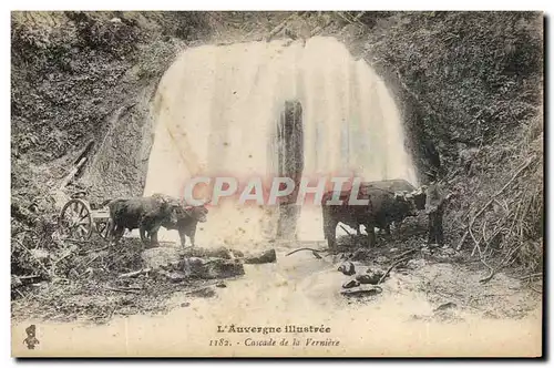 Cartes postales Folklore Auvergne Cascade de la Verniere Boeufs