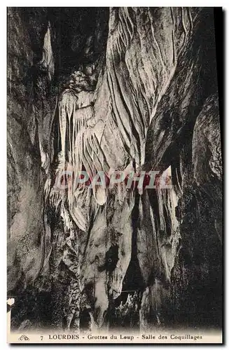 Cartes postales Grotte Grottes du Loup Salle des coquillages Lourdes