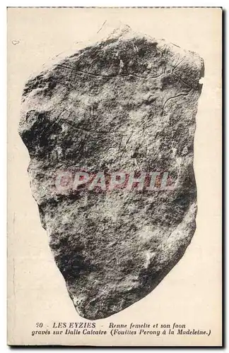 Cartes postales Grotte Grottes Les Eyzies Renne femelle et son faon graves sur Dalle calcaire Fouilles Perony a