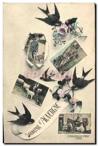 Cartes postales Folklore Auvergne Hirondelles