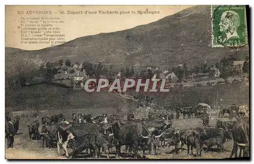 Cartes postales Folklore Auvergne Depart d'une vacherie pour la montagne Vaches