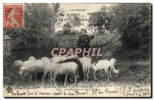 Ansichtskarte AK Folklore Auvergne Une bergere et son troupeau Moutons