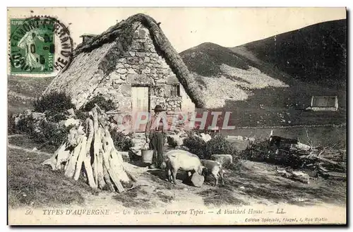 Cartes postales Folklore Auvergne Un buron Cochons Porcs TOP