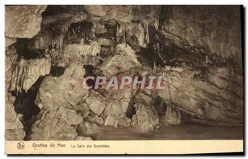 Ansichtskarte AK Grotte Grottes de Han La salle des Scarabees