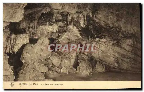 Cartes postales Grotte Grottes de Han La salle des Scarabees