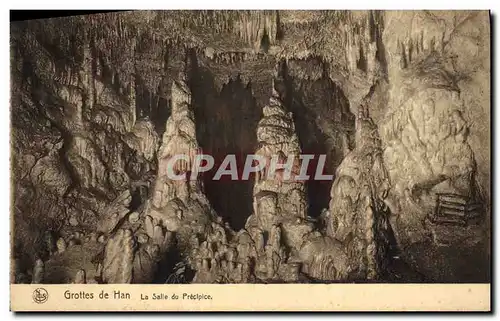 Cartes postales Grotte Grottes de Han La salle du precipice