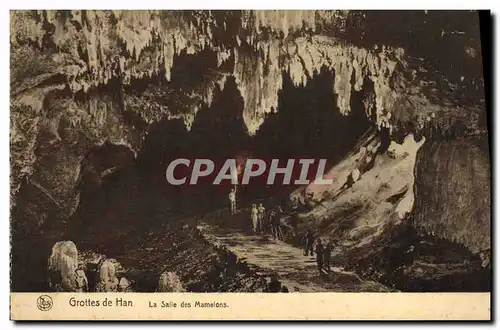 Cartes postales Grotte Grottes de Han La salle des Mamelons