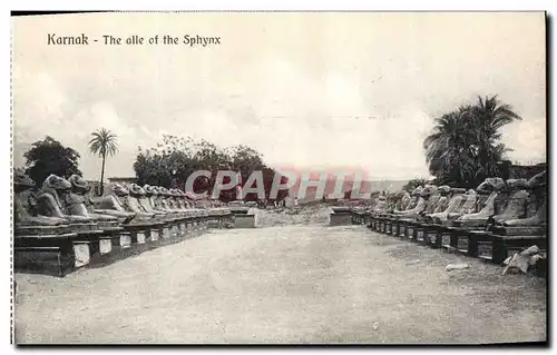 Cartes postales Egypte Egypt Karnak The alle of the sphynx