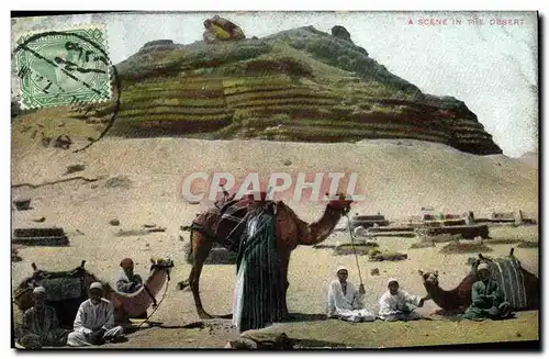 Ansichtskarte AK Egypte Egypt A scene in the desert Chameaux