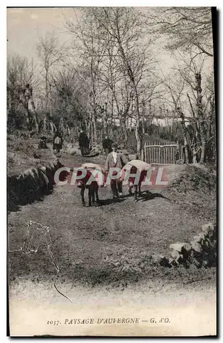 Ansichtskarte AK Folklore Paysage d'Auvergne Ane Mule