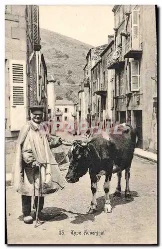 Cartes postales Folklore Type Auvergnat Vache