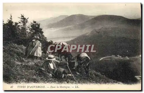 Cartes postales Folklore Auvergne Dans la montagne Ane Mule