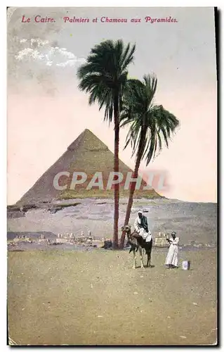 Ansichtskarte AK Egypte Egypt Le Caire Palmiers et chameau aux Pyramides