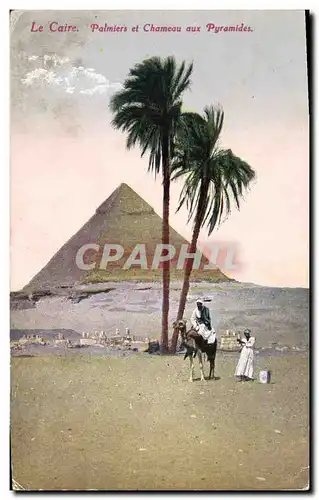 Cartes postales Egypte Egypt Le Caire Palmiers et chameau aux Pyramides