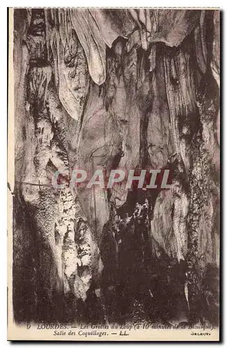 Cartes postales Grotte Grottes Lourdes Les grottes du loup Salle des coquillages