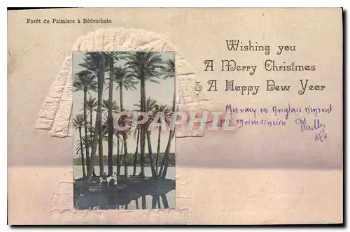 Cartes postales Egypt Egypte  Foret de Palmiers a Bedrachein