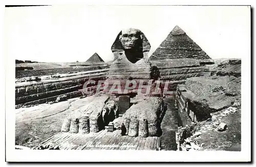 Ansichtskarte AK Egypt Egypte  Sphinx