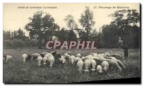 Cartes postales Folklore Auvergne Paturage de moutons