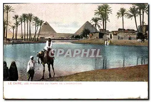 Ansichtskarte AK Egypt Egypte Le Caire Les pyramides au temps de l'inondation