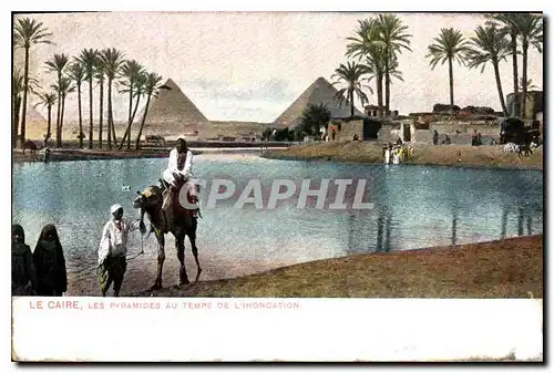 Cartes postales Egypt Egypte Le Caire Les pyramides au temps de l'inondation