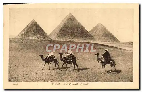 Ansichtskarte AK Egypt Egypte Cairo The Pyramides of Gizeh