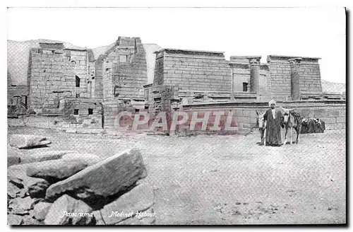 Ansichtskarte AK Egypt Egypte Panorama Medinet Habout