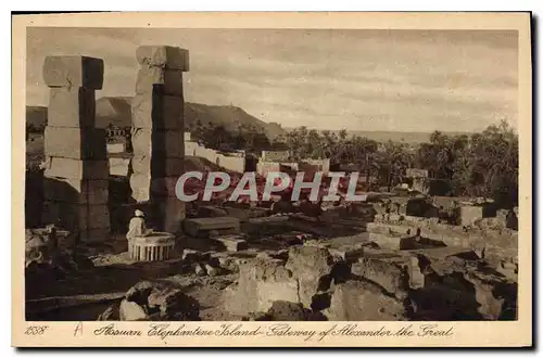 Cartes postales Egypt Egypte Assuan elephantine island Gateway of Alexander the Great