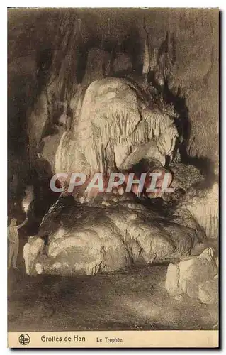 Cartes postales Grotte Grottes de Han Le trophee