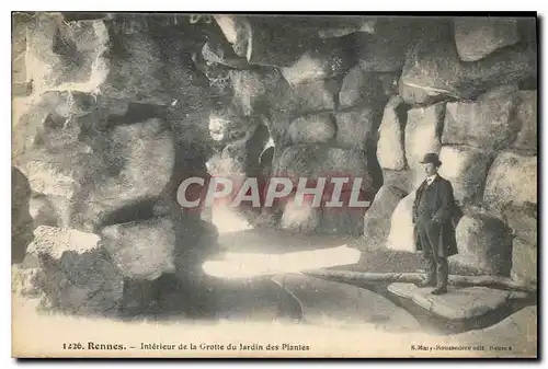 Cartes postales Rennes Interieur de la Grotte du Jardin des Plantes Grottes