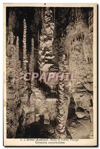 Ansichtskarte AK Grotte Grottes L'Aven Armand Dans la foret vierge Colonnes encorbellees