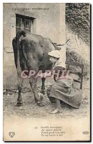 Cartes postales Folklore L'Auvergne Pittoresque Vache