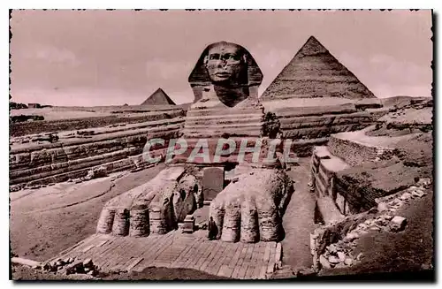 Ansichtskarte AK Egypt Egypte Egypt The Sphinx