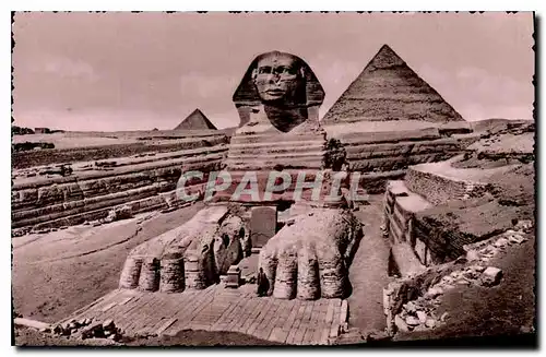 Cartes postales Egypt Egypte Egypt The Sphinx