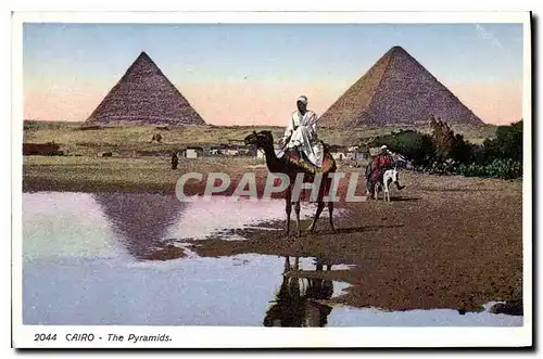 Ansichtskarte AK Egypt Egypte Cairo The Pyramids