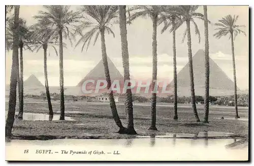 Cartes postales Egypt Egypte Egypte Les Pyramides de Gizeh