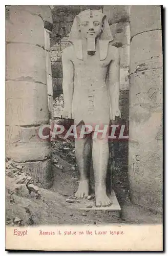 Ansichtskarte AK Egypt Egypte Egypt Ramses II Statue on the Luxor temple