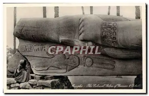 Cartes postales Egypt Egypte Memphis The Colossal Statue of Ramses II