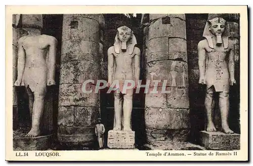 Cartes postales Egypt Egypte Louqsor Temple d'Ammon Statue de Ramses II
