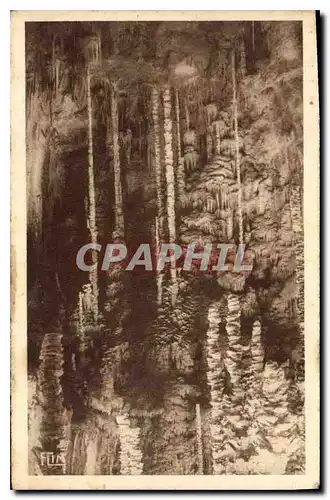Cartes postales l'Aven Armand dans la foret Vierge les aiguilles geantes
