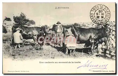 Cartes postales Folklore L'Auvergne une vacherie au momet de la traite Vaches